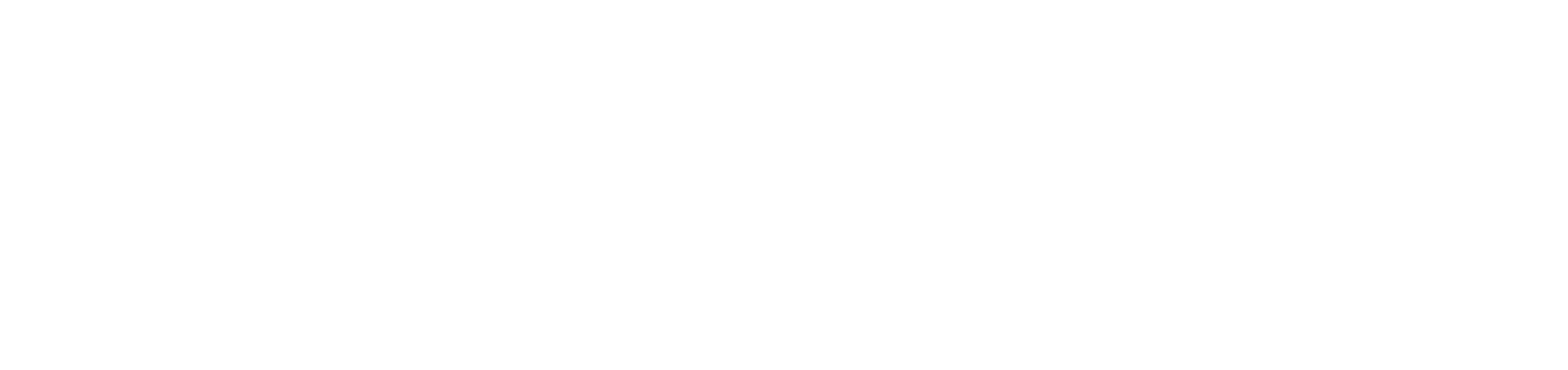 Optimum Logo